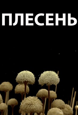 Постер фильма Плесень (2009)