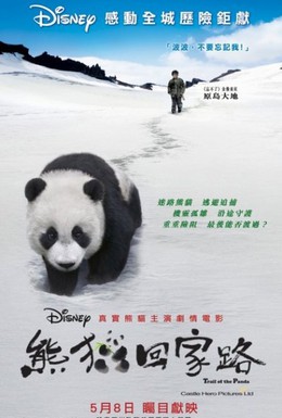 Постер фильма След панды (2009)
