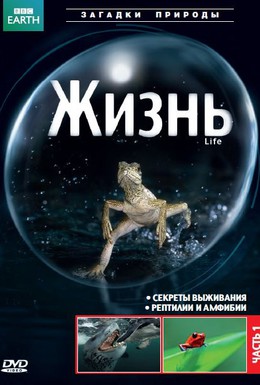 Постер фильма BBC: Жизнь (2009)