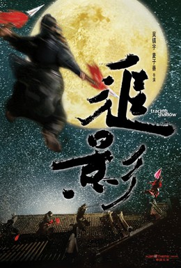 Постер фильма В погоне за тенью (2009)