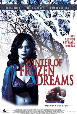 Постер фильма Зима замерзших надежд (2009)