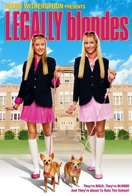 Постер фильма Блондинки в законе (2009)