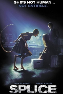 Постер фильма Химера (2009)