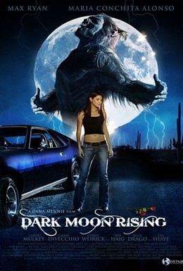 Постер фильма Восхождение черной луны (2009)