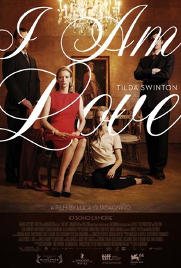 Постер фильма Я – это любовь (2009)
