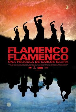 Постер фильма Фламенко, фламенко (2010)