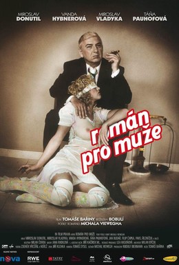 Постер фильма Роман для мужчин (2010)