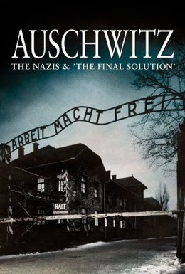 Постер фильма Освенцим (2011)