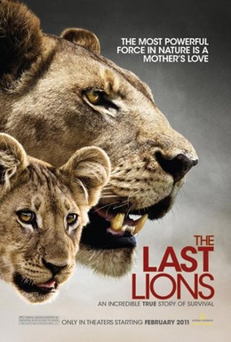 Постер фильма Последние львы (2011)