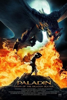 Постер фильма Паладин (2011)