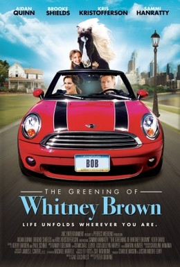 Постер фильма Молодость Уитни Браун (2011)