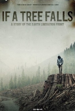 Постер фильма Если дерево упадет (2011)