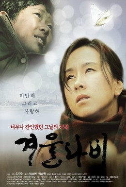 Постер фильма Бабочка ветра (2010)