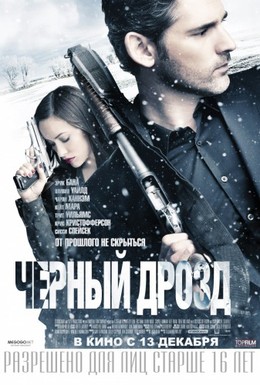 Постер фильма Черный дрозд (2012)