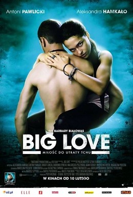 Постер фильма Большая любовь (2012)