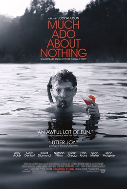 Постер фильма Много шума из ничего (2012)