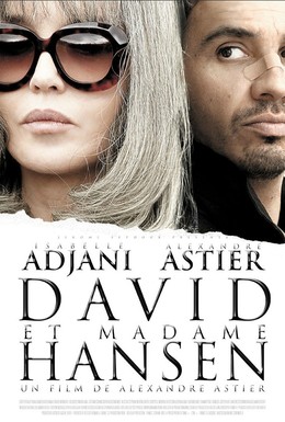 Постер фильма Давид и мадам Ансен (2012)