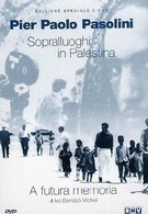 Выбор натуры в Палестине для «Евангелия от Матфея» (1965)