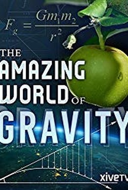 Постер фильма Я и гравитация. Сила, формирующая нашу жизнь (2017)