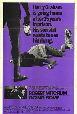 Постер фильма Иди домой (1971)