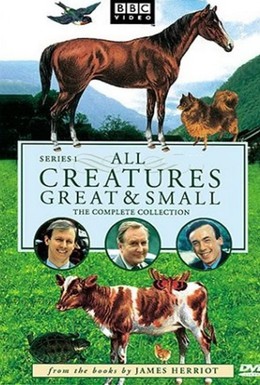 Постер фильма Все существа, большие и малые (1978)