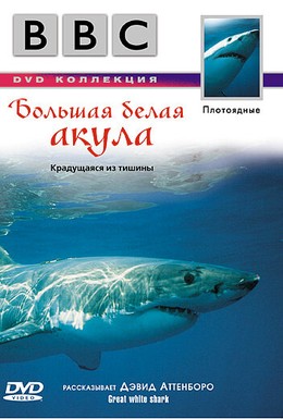 Постер фильма BBC: Большая белая акула (1995)