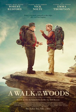 Постер фильма Прогулка по лесам (2015)