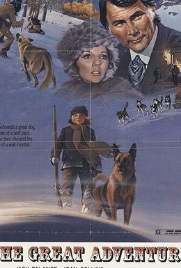 Постер фильма Вой волка (1975)