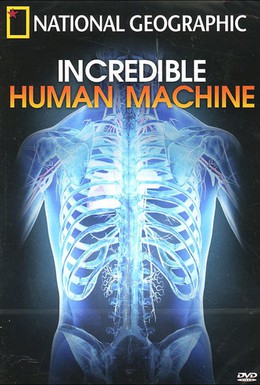 Постер фильма Невероятное тело человека (2007)