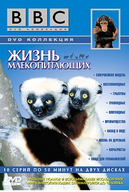Постер фильма BBC: Жизнь млекопитающих (2002)