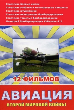Постер фильма Авиация Второй мировой войны (2009)
