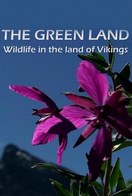Постер фильма Гренландия: Дикая природа страны викингов (2005)