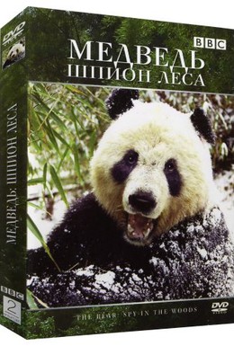 Постер фильма Медведь: Шпион леса (2004)