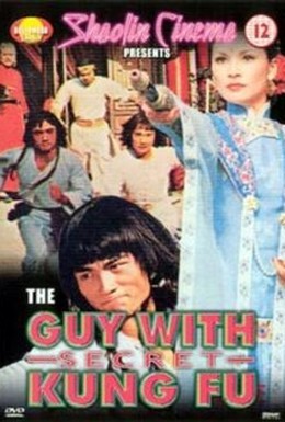 Постер фильма Неистовый парень и супер кунг-фу (1980)