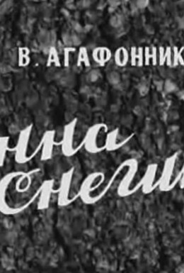 Постер фильма Анна Снегина (1969)