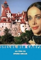 Замок в Карпатах (1981)