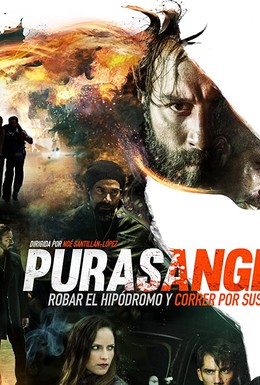 Постер фильма Purasangre (2016)
