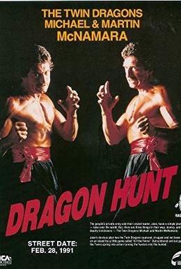 Постер фильма Охота на дракона (1990)
