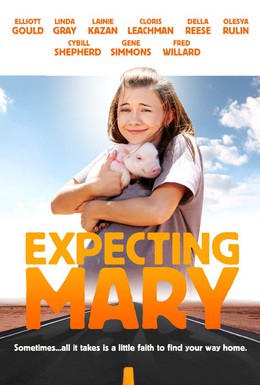 Постер фильма Надежды и ожидания Мэри (2010)