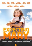 Надежды и ожидания Мэри (2010)