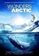 Чудеса Арктики (2014)
