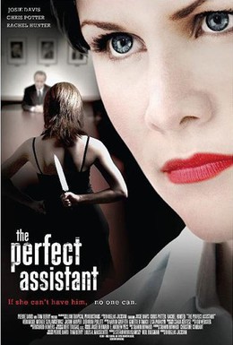 Постер фильма Само совершенство (2008)
