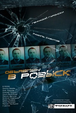 Постер фильма Объявлен в розыск (2010)