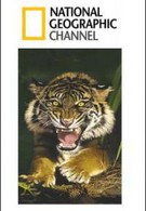 Последний людоед - Индийский тигр-убийца (2003)