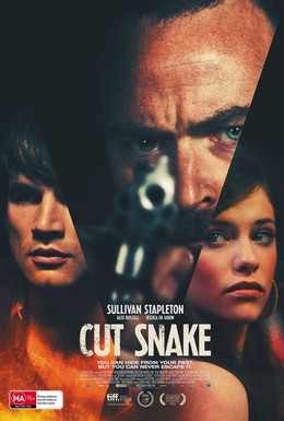 Постер фильма Раненый змей (2014)