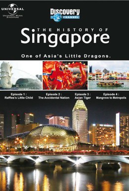 Постер фильма История Сингапура (2005)