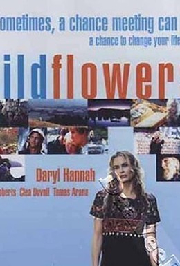 Постер фильма Полевые цветы (1999)