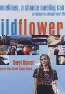 Полевые цветы (1999)