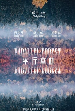Постер фильма Параллельный лес (2019)