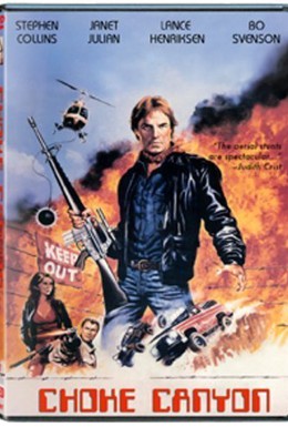 Постер фильма Опасная территория (1986)